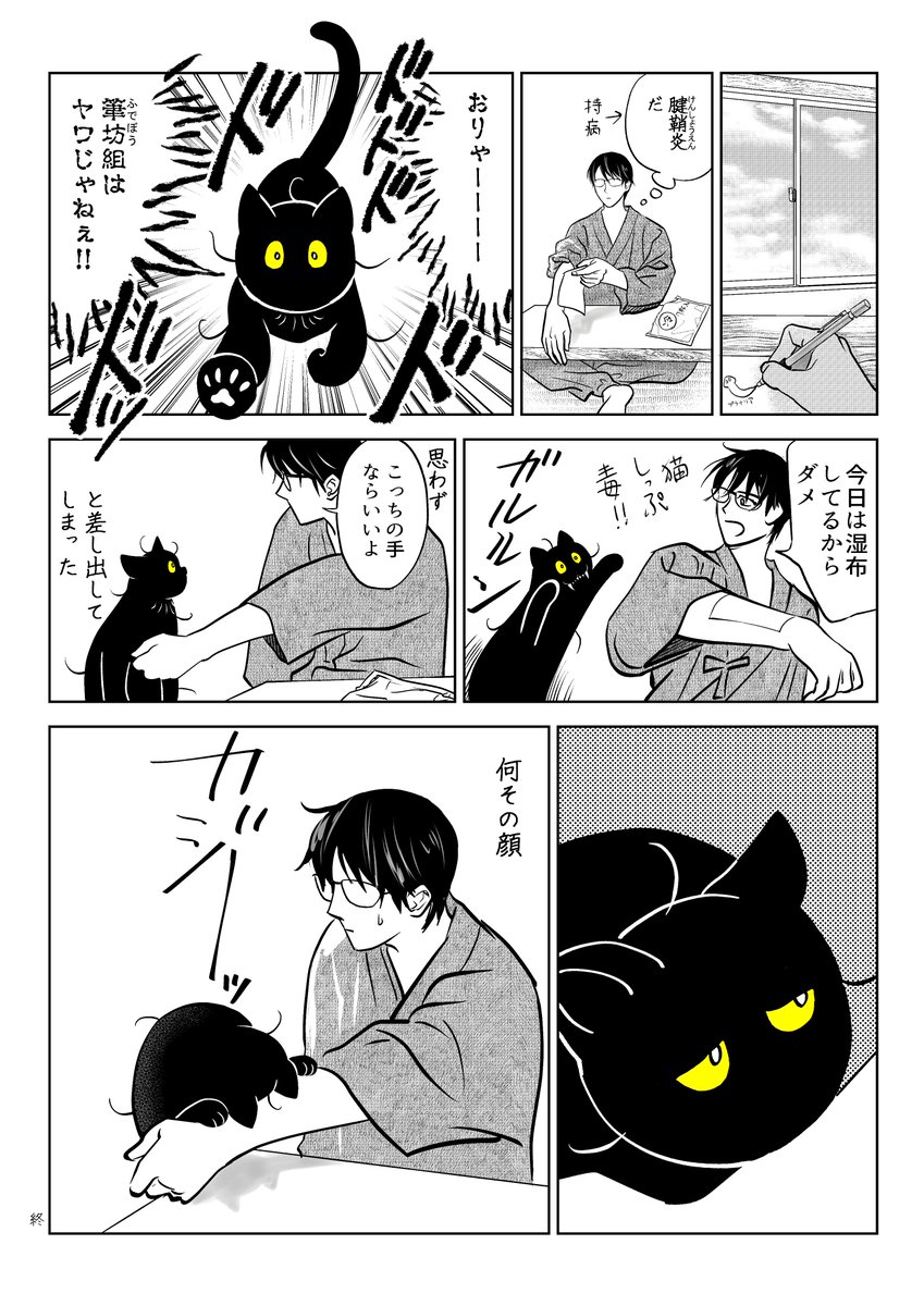 うちの猫は様子がおかしい。まとめ③
(10/11) 