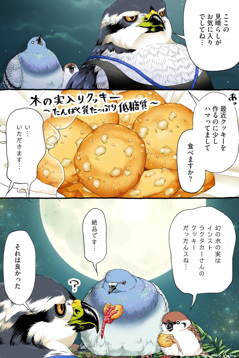 ハト先輩とスズメくんの木登りチャレンジ ③
【2/3】 