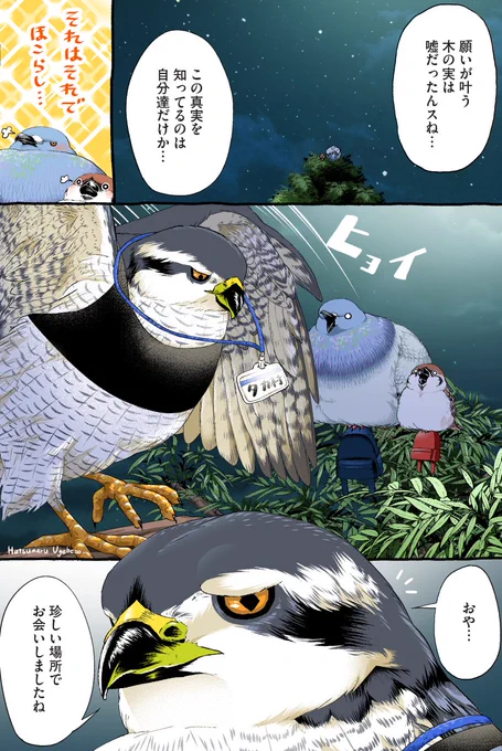 ハト先輩とスズメくんの木登りチャレンジ ③
【2/3】 