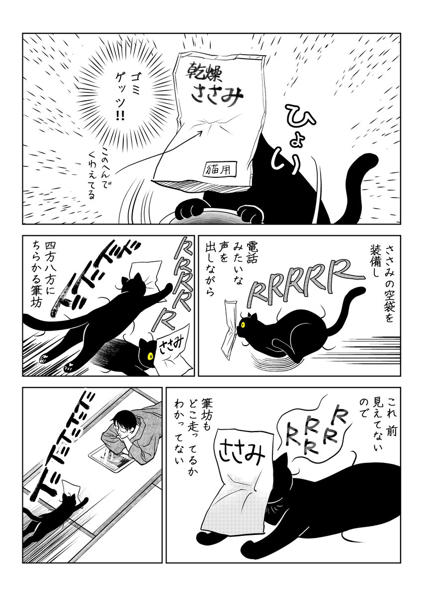 うちの猫は様子がおかしい。まとめ③
(11/11) 