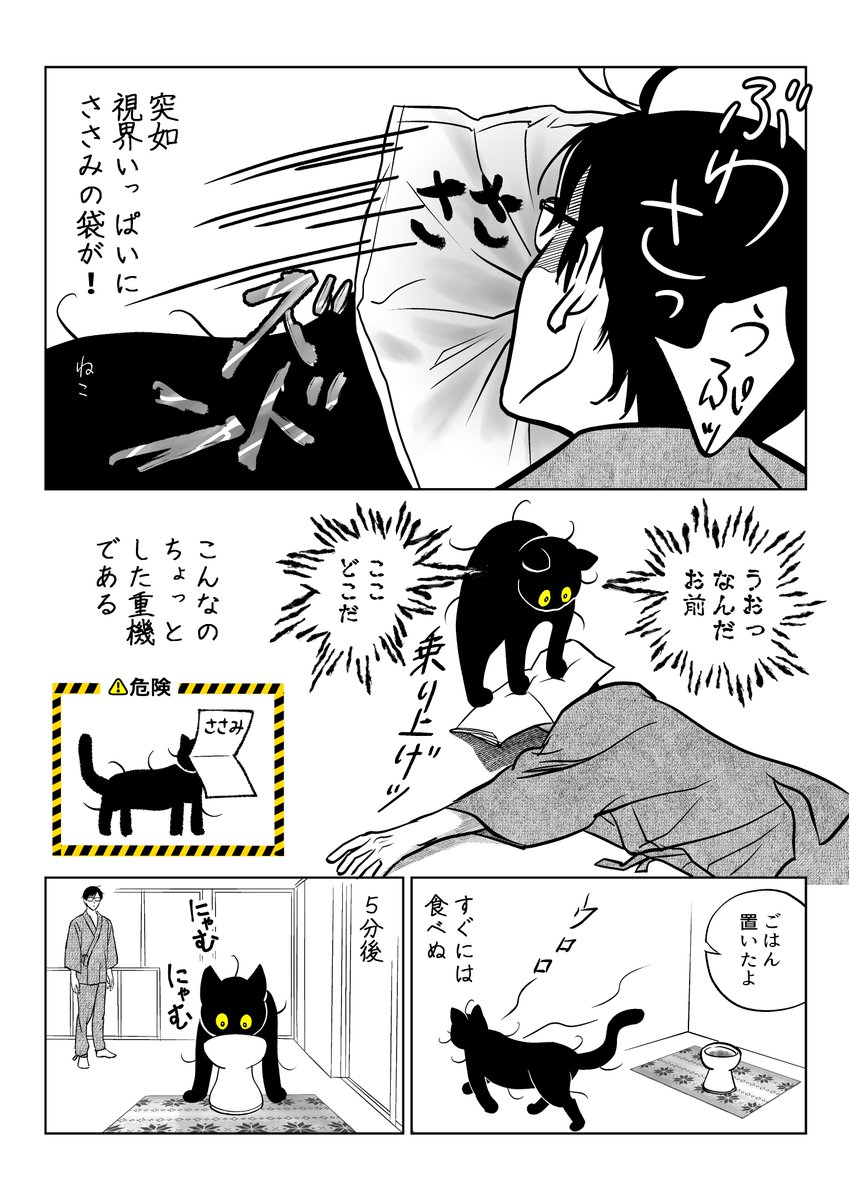 うちの猫は様子がおかしい。まとめ③
(11/11) 