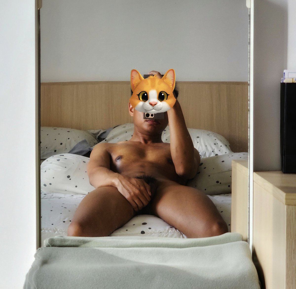 Your Meowness 🐱🦁🐯 tweet media