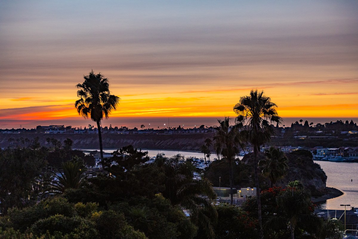 Subaru Summer Concert Series tweet media