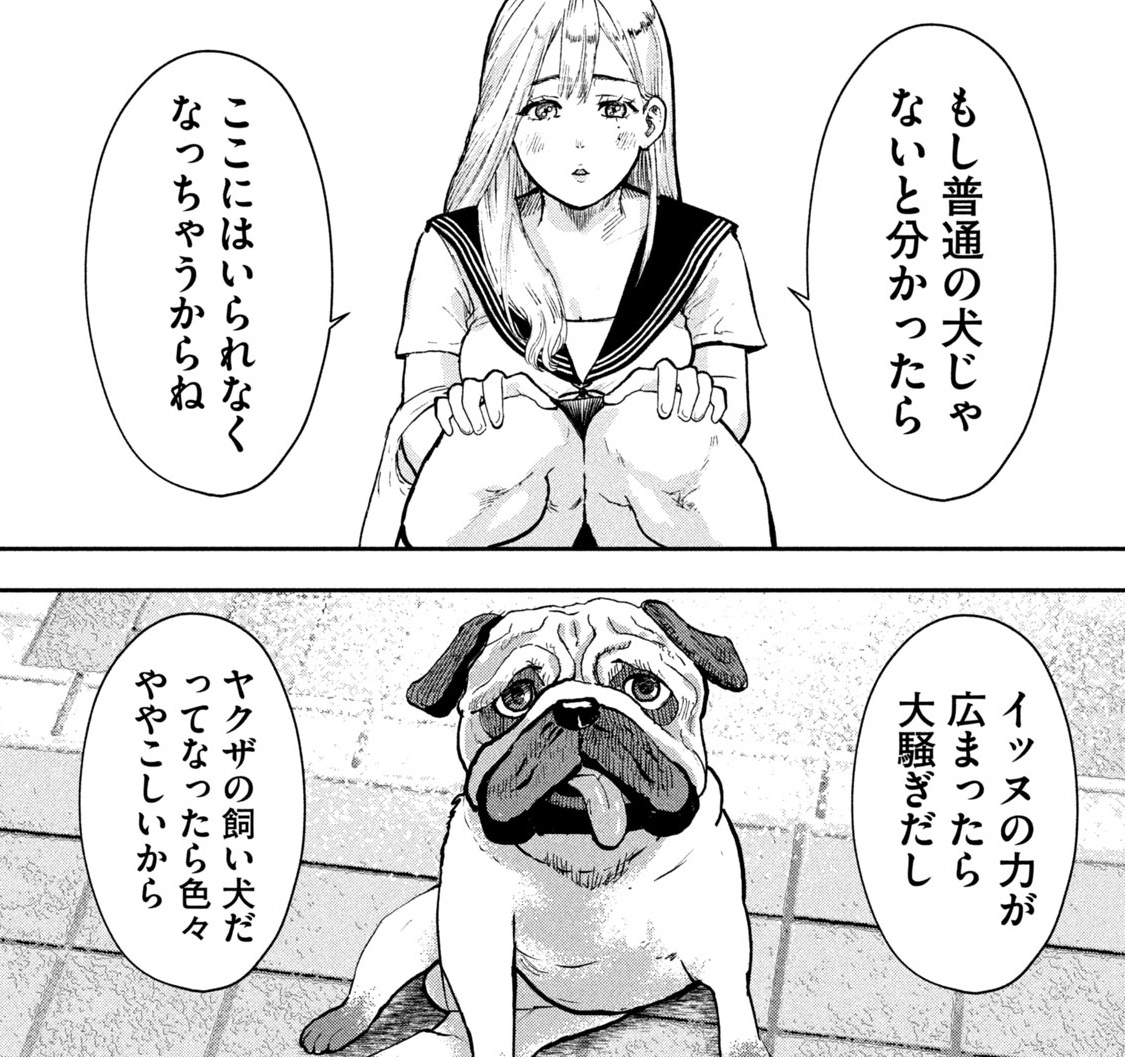 ヤクザとお留守番するイッヌの話(0/5) 