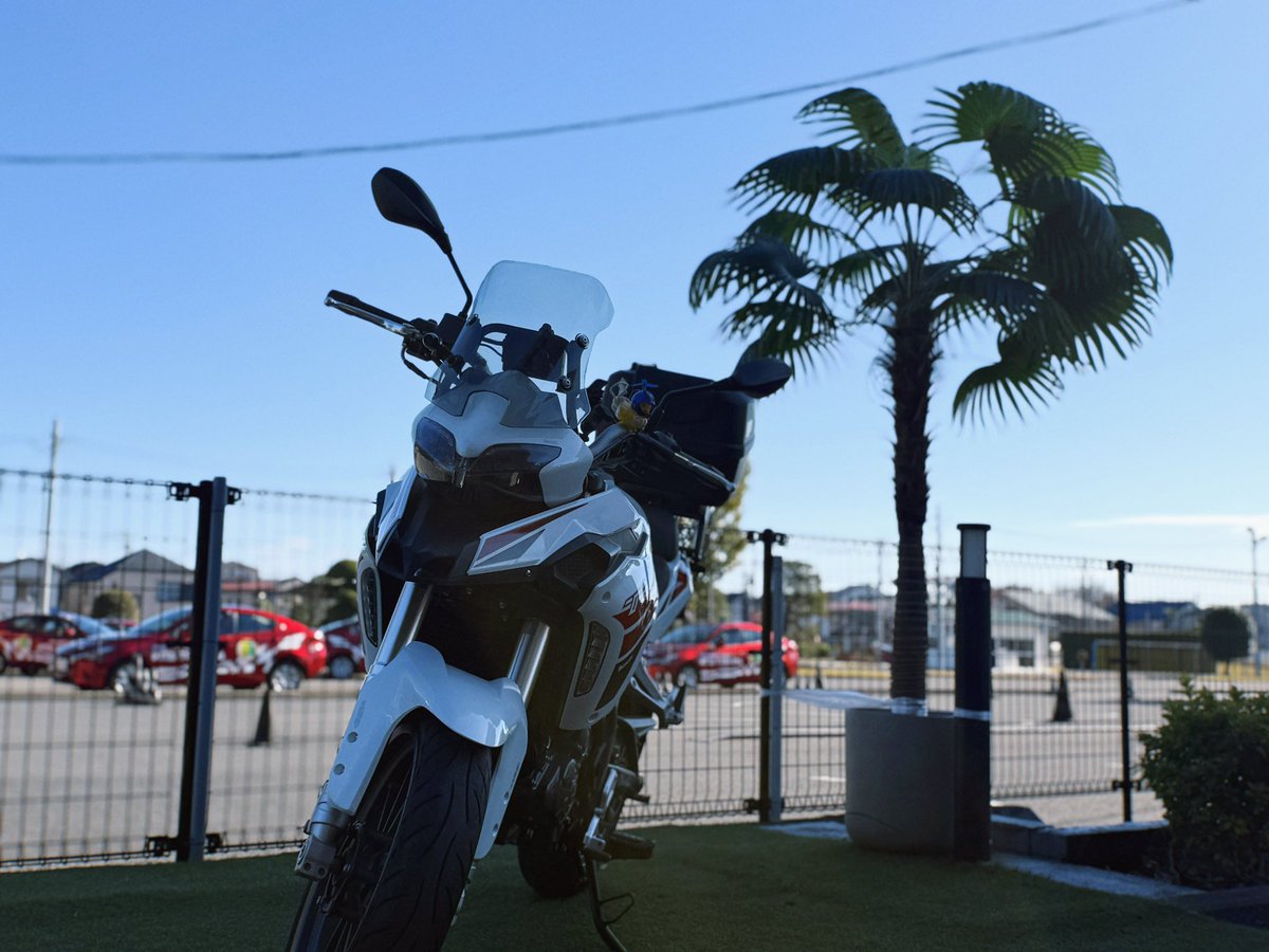 lightning7380's tweet photo. #北豊島園自動車学校 さんでベネリ展示中です〜〜〜🏍️❣️✨✨
#インペリアーレ400 #レオンチーノ250 #TRK251 
#教習所 #普通二輪 #練馬区 https://t.co/6jkVBZ7xTb