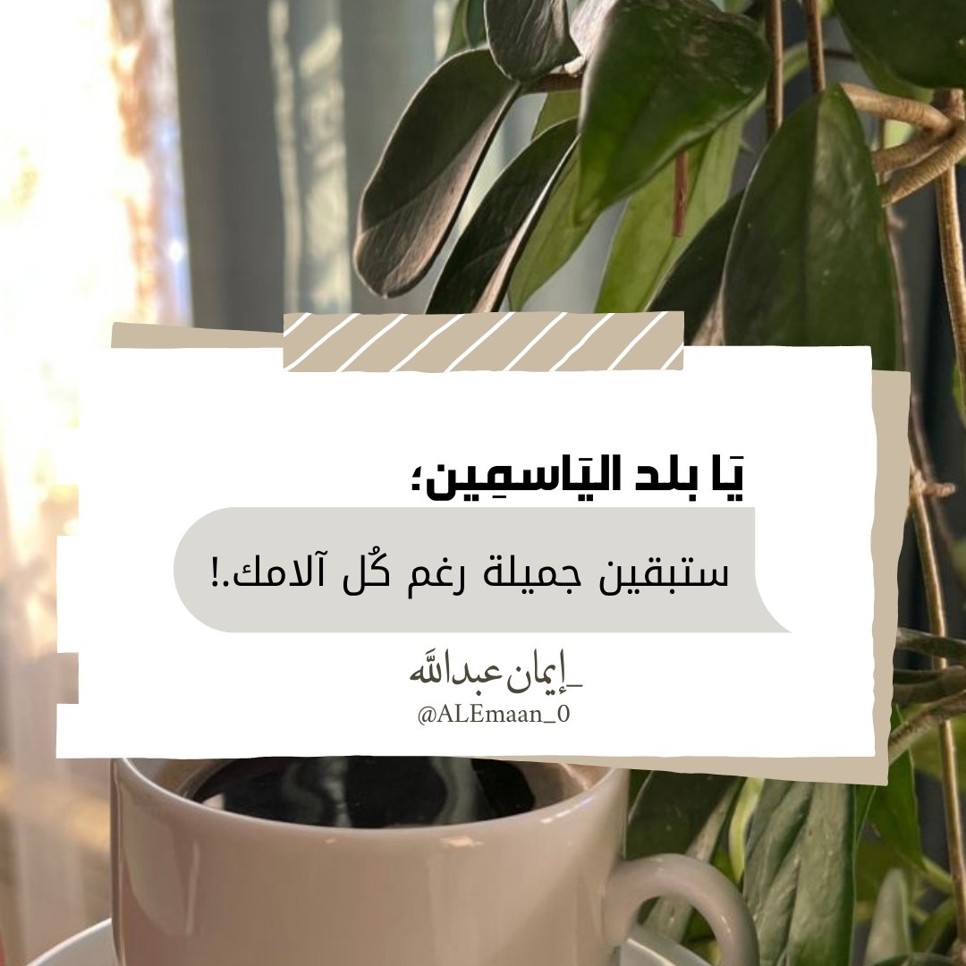 Alemaan_0's tweet photo. يا بلد الياسمين..!!

#سوريا_الان 
#سوريا_الجديدة https://t.co/Q5sa74sgL7