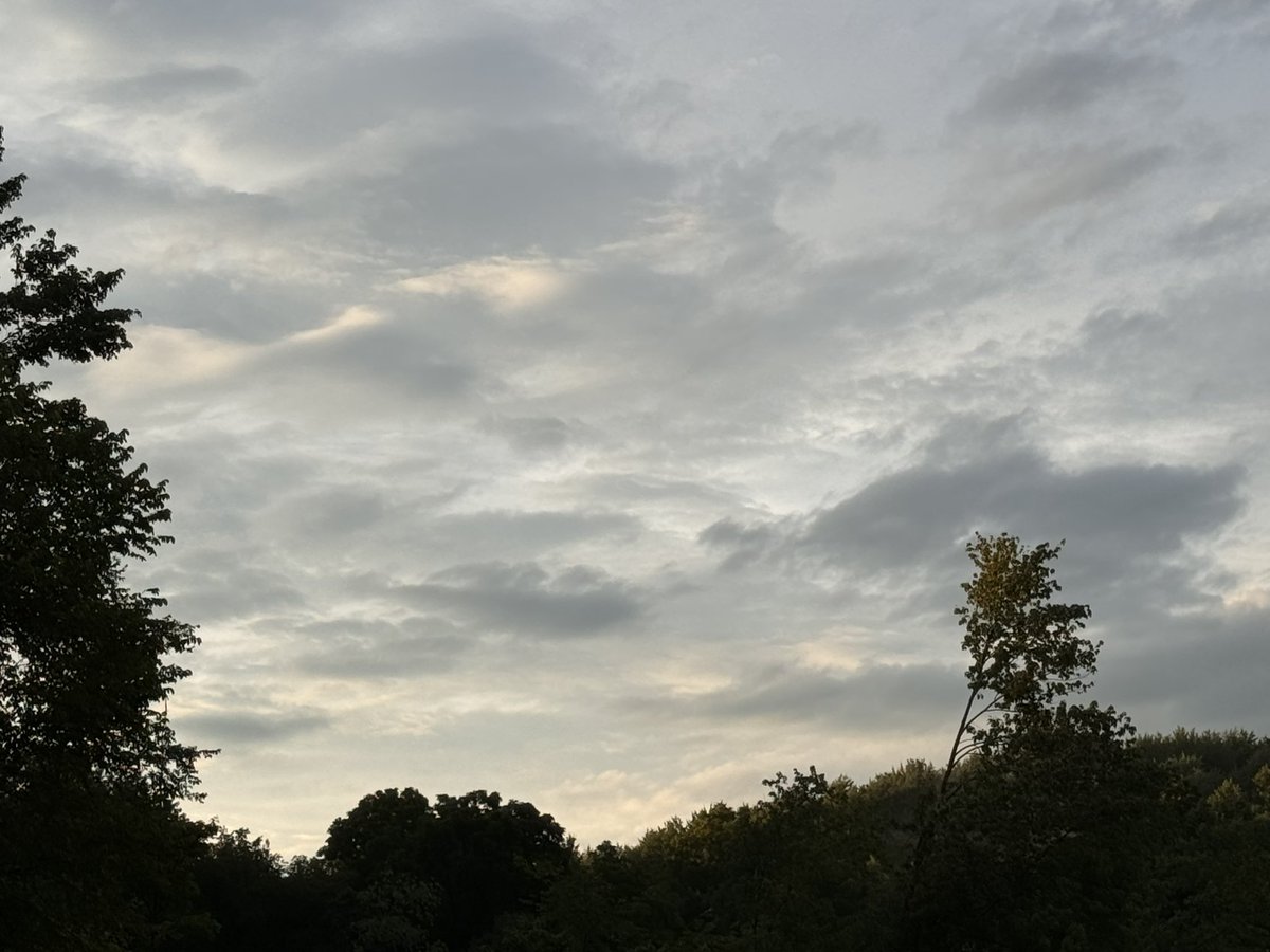 queenxgreen's tweet photo. #clouds https://t.co/9JmrMbZ1gB