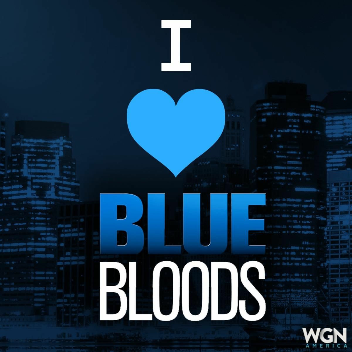 Itsisawood's tweet photo. @DonnieWahlberg Its impossible to me say goodbye to my fave series. Miss this #BlueBloods #BlueBloodsFinale ❤️💙🫡😢 https://t.co/3eAGUau2Z5