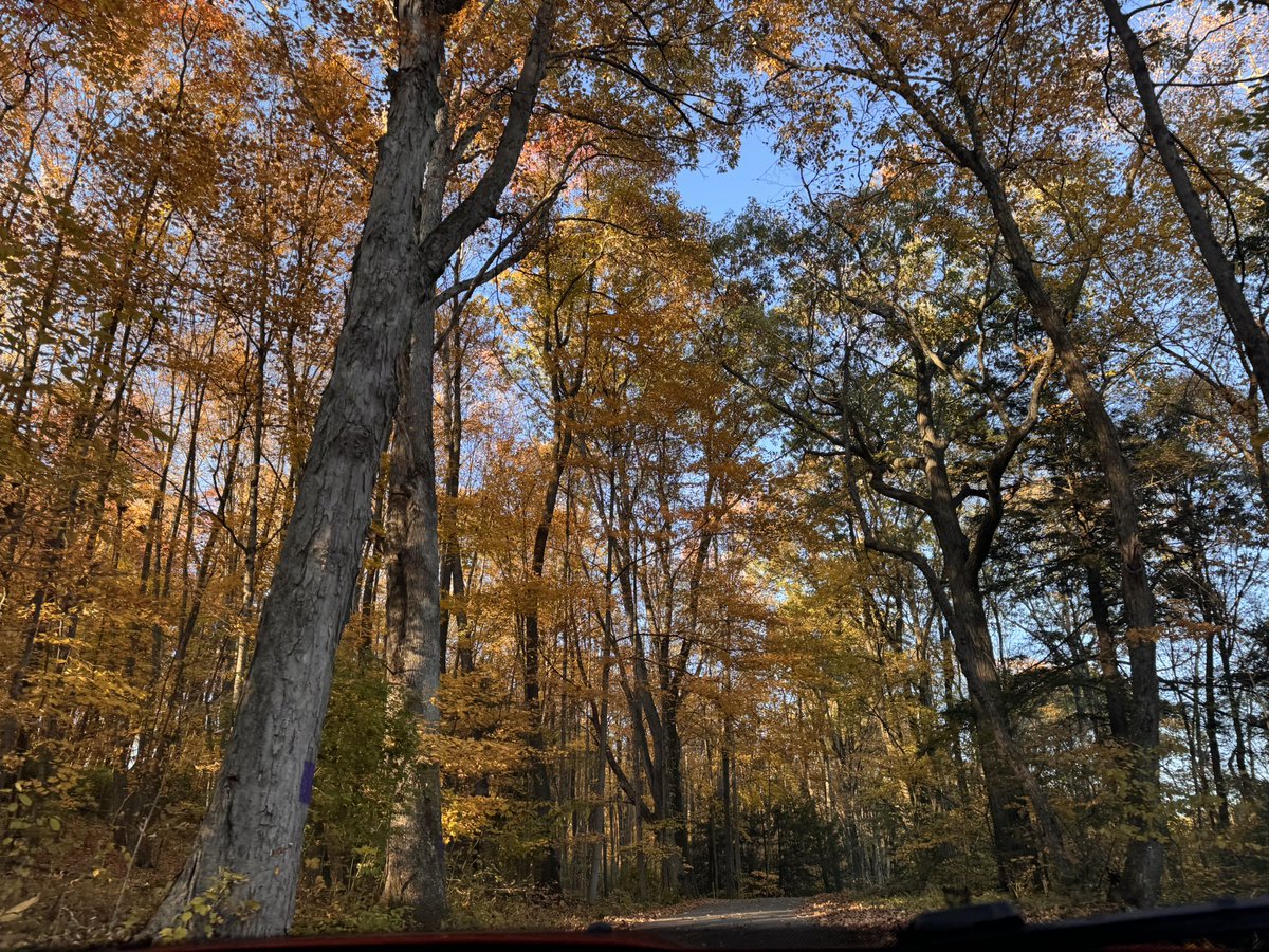 queenxgreen's tweet photo. #fall #autumn #pumpkinspice https://t.co/wn1EXx4AIB