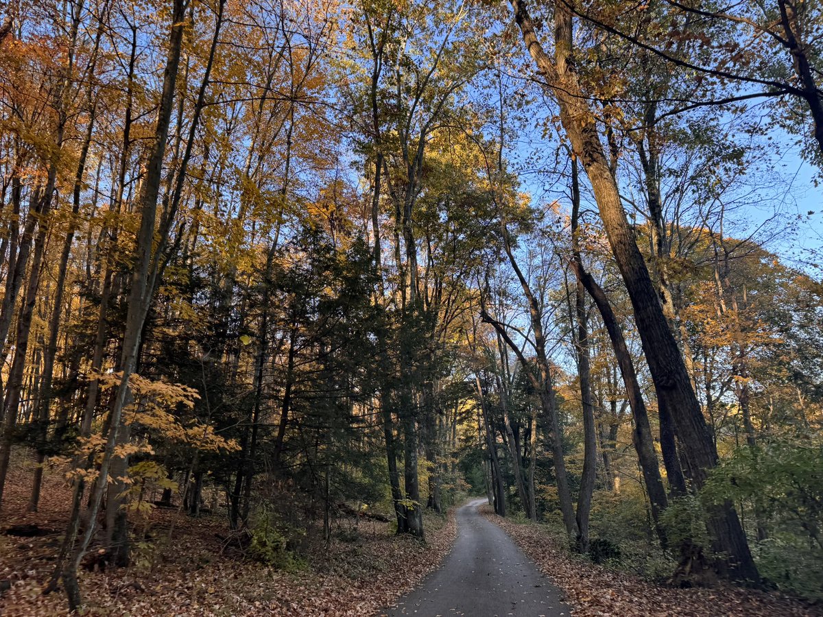 queenxgreen's tweet photo. #fall #autumn #pumpkinspice https://t.co/wn1EXx4AIB