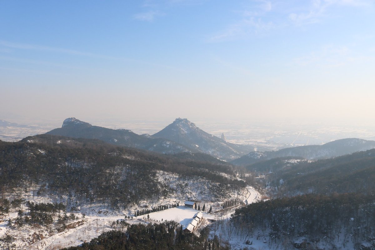 Ellie 🌟 tweet media