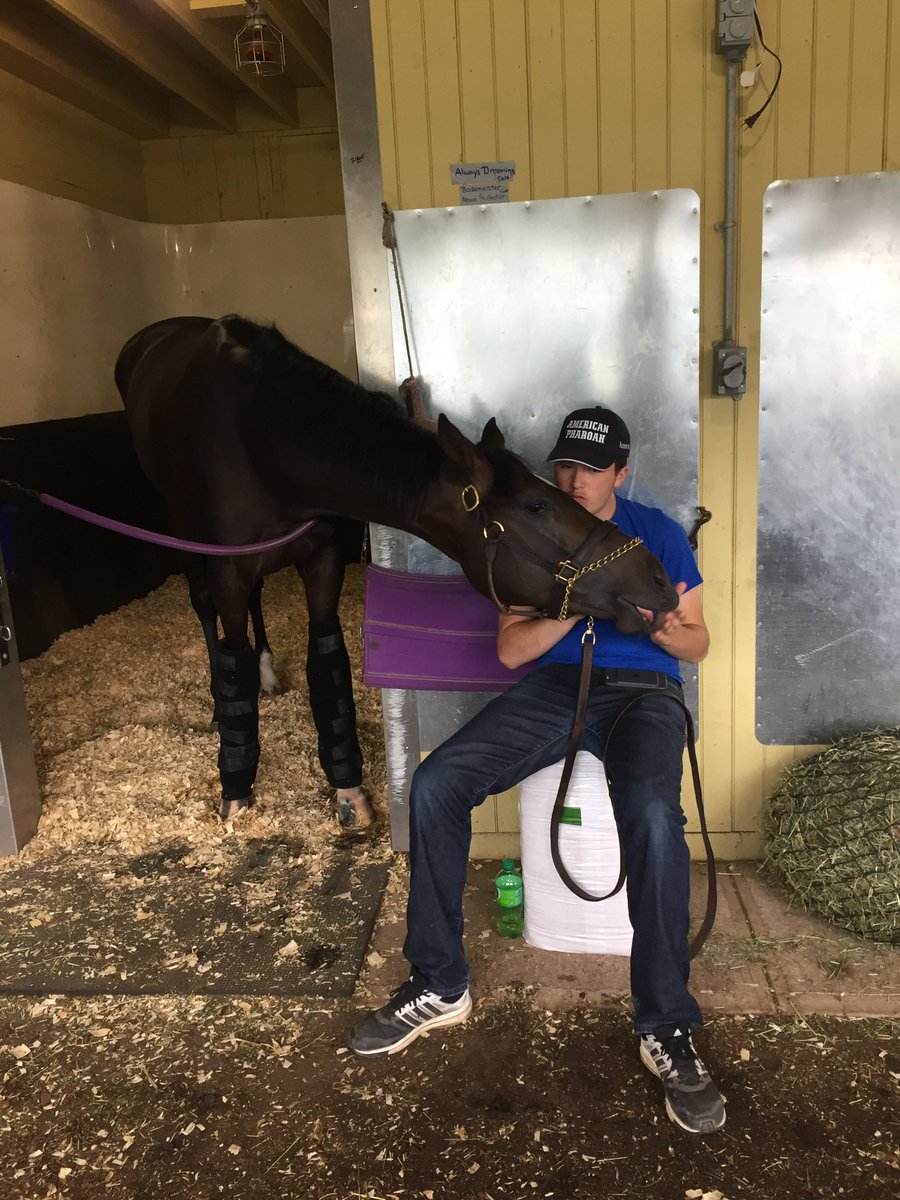MBOConnorRacing's tweet photo. A special boy from day 1. Would take peppermints to get him up in the morning to train. He was as good at finding a mint in a pocket as he was winning the @KentuckyDerby Have his name plate from his 2yo halter up on my mantel. I’ll never forget you Lil Bode 🌹 #AlwaysDreaming https://t.co/DPOORxd8eG