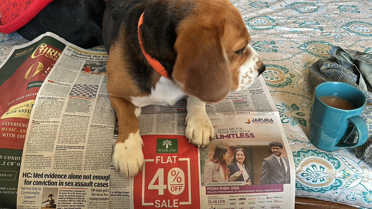 amardeep4singh's tweet photo. Willie reading the newspaper! Waiting for rusks from me ! #williethebeagle #beagleaddict #beagle #beaglelove #newspaper #timesofindia https://t.co/YbO2YgpcAa