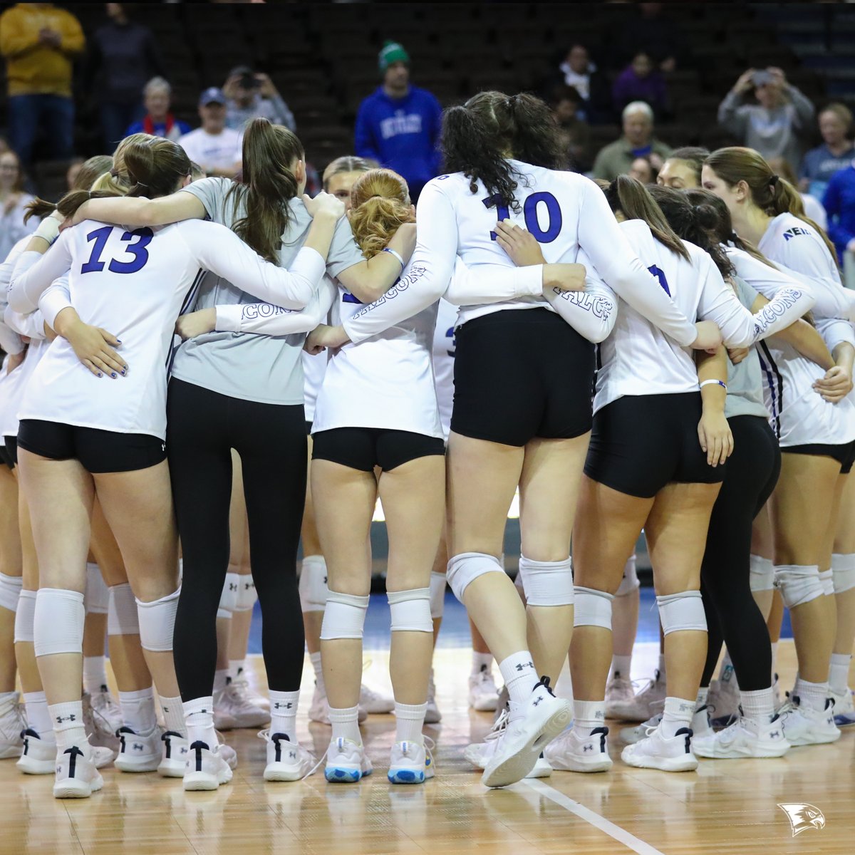 consecutive regional titles, and the first volleyball team in NE10 history to reach the NCAA Semifinals. 

Bentley volleyball is the standard.