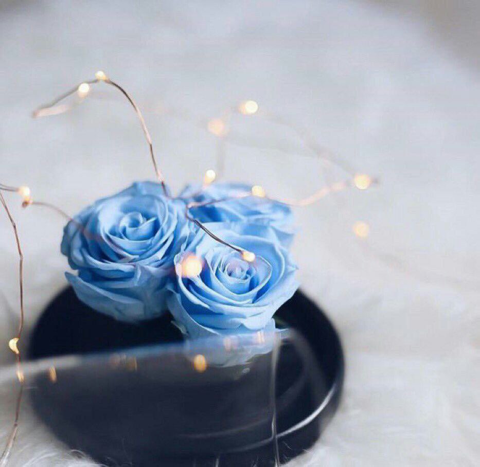 القلوب التي يسكُنها حُسنُ الظن بالله 

لا يعرف اليأسُ طريقاً إليها !

فيا رب اجعل قلوبنا عامرةً بالظنِ 

الجميل ..♡