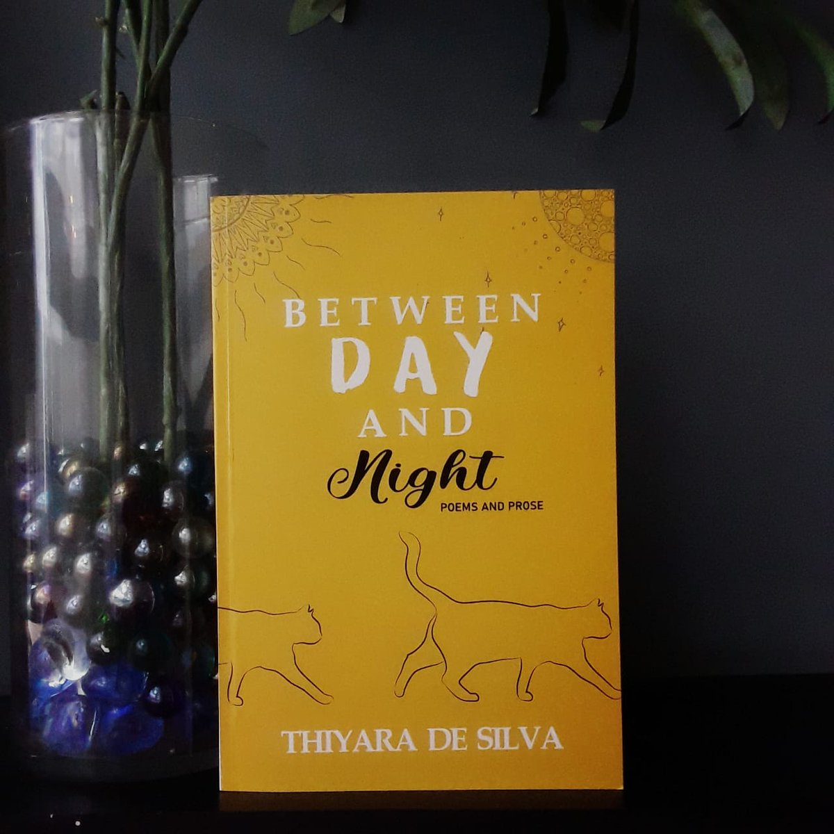 TheJamFruitTree's tweet photo. Between Day and Night
Rs. 1,500
Author: Thiyara De Silva
Paperback: 69 pages

The Jam Fruit Tree. 366/1 Galle Road, Colpetty
072-7268078

https://t.co/3JclQOMcm0

#ThiyaraDeSilva #BetweenDayAndNight #TheJamFruitTreePublications #TheJamFruitTreeBookShop #TheJamFruitTree #TJFT https://t.co/uW7m25CyLr