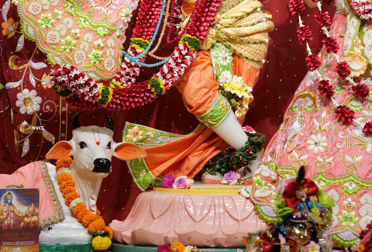 ISKCONPune's tweet photo. 🙏🏽Today's Darshan 📿 🗓14-12-2024🙏
🌷Sri Sri Radhavrindavanchandra🌷
🚩@ISKCONNVCCPune🚩
.
.
#ISKCONNVCC #ISKCONPune #ISKCONNVCCPune #ISKCON #14thdecember #14thdecember2024 #Saturday #Harinaamsankirtan #Radheshyamdas #Radheradhe #Sankirtan #Kirtan #Vrindavan #Mayapur #Prabhupada https://t.co/WWkWZqJd0z