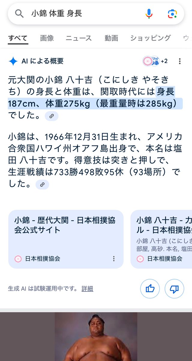 ファッション好きが選ぶ人気ブランドランキング gimayohei on X:  その他