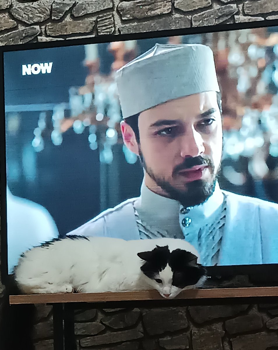SibelUlgu's tweet photo. Cüneyidi😁
 #cüneyt #cüneyd #KızılGonacalar #KIZILGONCALAR #Cüneytefendi https://t.co/V4aIpLek00