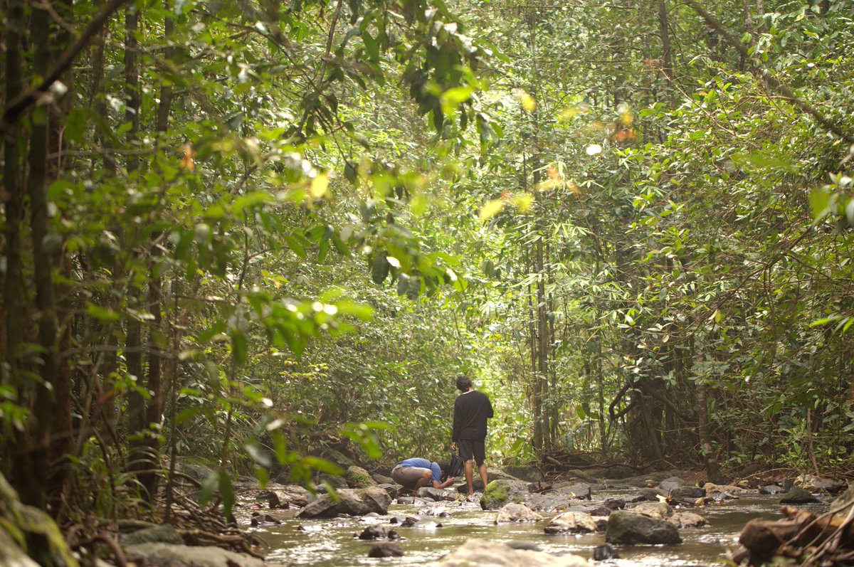 mandar_lk's tweet photo. It seems like a different life now when I check photos from 2012-13. It was just me and forests. 
Now we have 'liabilities' that separate us from each other. https://t.co/WFGizTHR3p