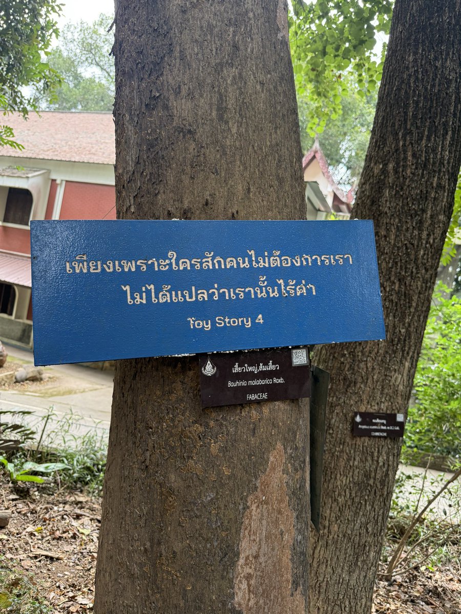khajochi tweet media