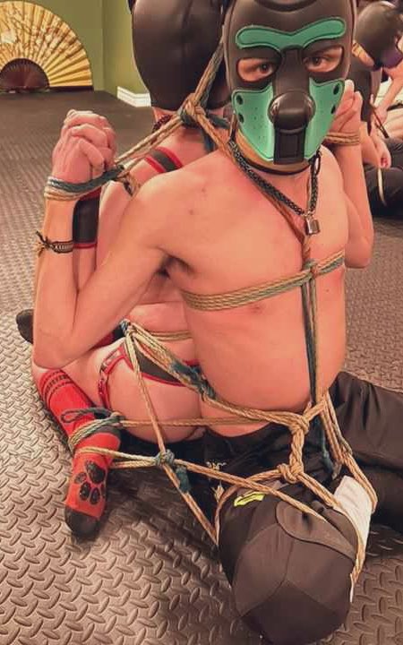 I'm sorry, I can't come to the phone right now, I'm a little tied up... 
🐶: me and <a href="/Pup_Thiko/">Thiko</a> 
🪢: <a href="/guignonette/">Guignonette</a>