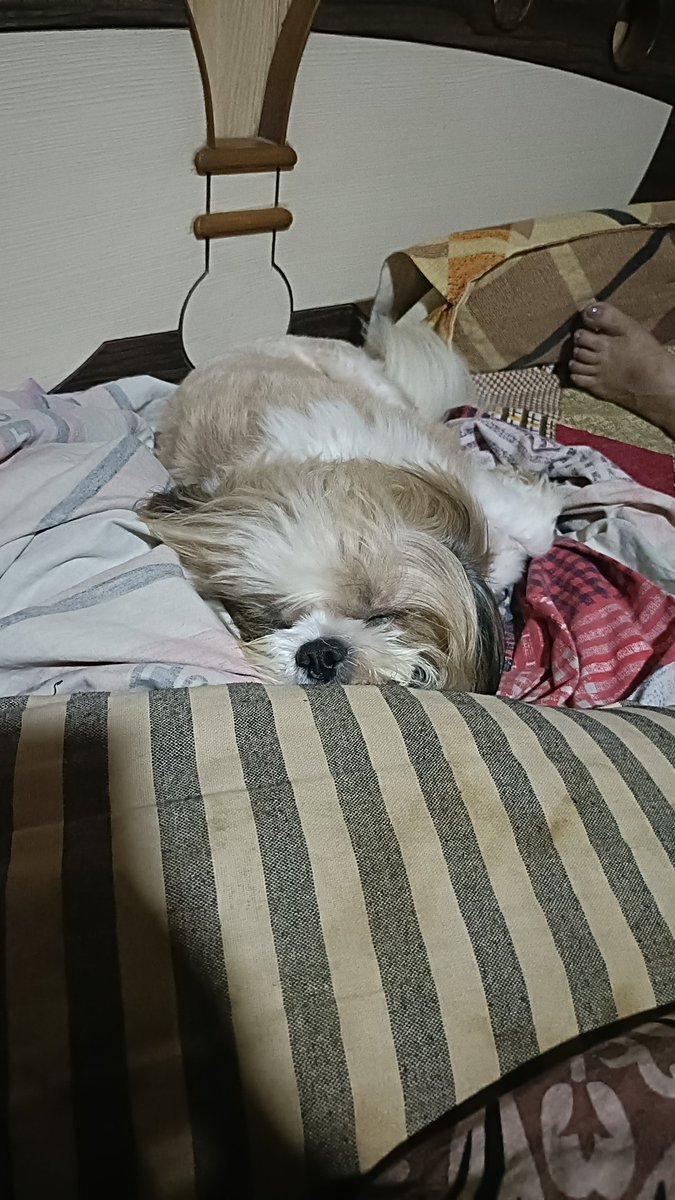 dnahuja's tweet photo. @ITRADE191 Har fikra ko duen me udata chala gaya mein zindagi ka sath nibhata chala gaya https://t.co/JzzuZKMeJa