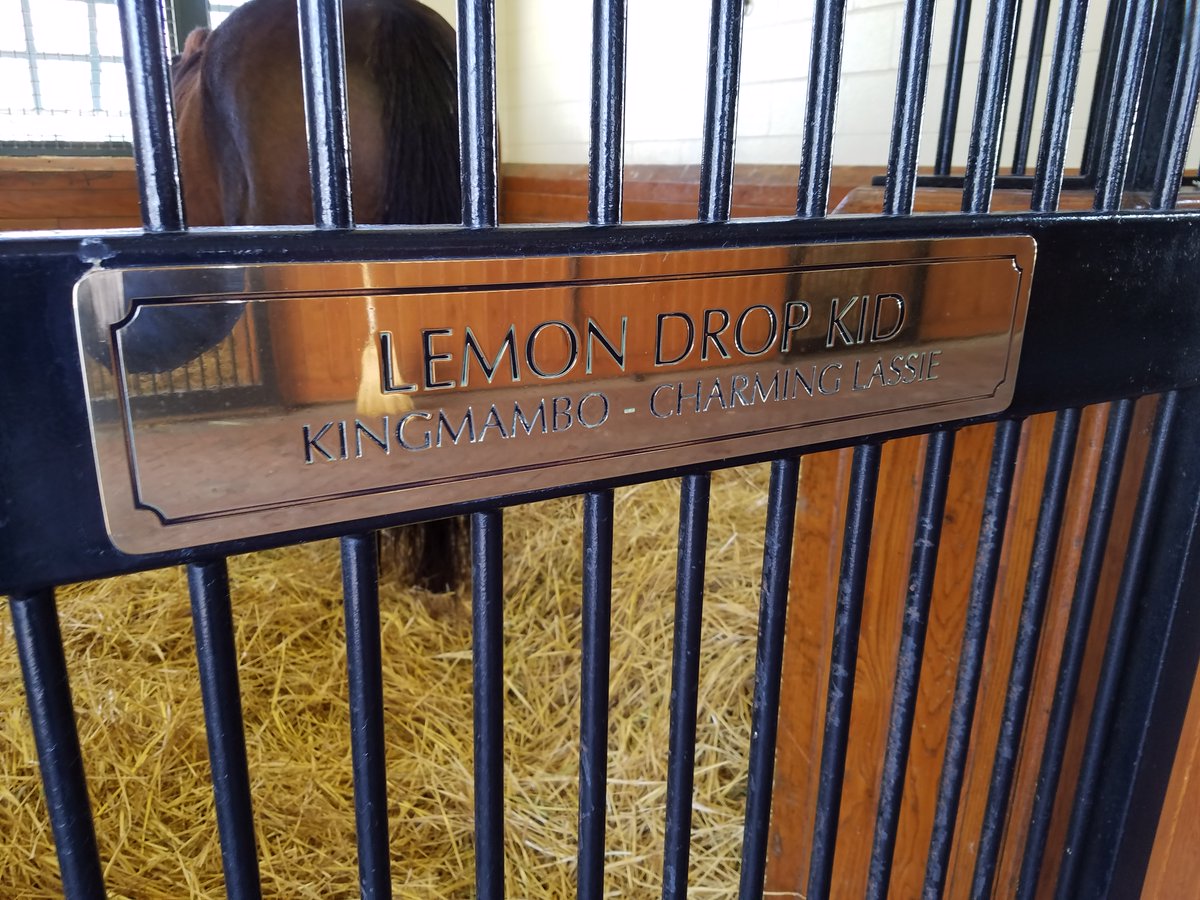 shawnf242's tweet photo. 💔😭#LemonDropKid https://t.co/QnVlDrOmIx