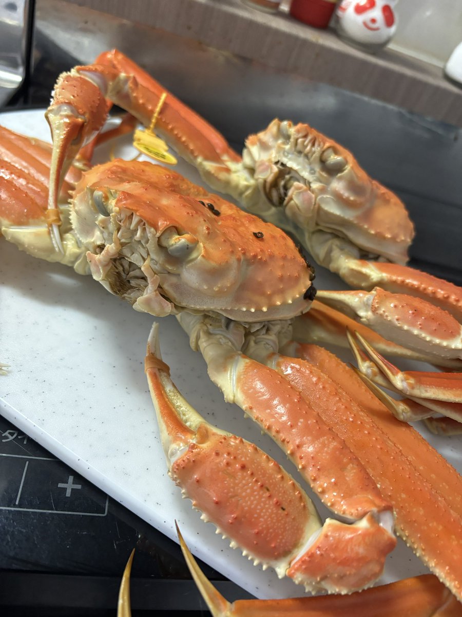 kakekake41's tweet photo. 越前ガニLL🦀
今からカニパ🦀
バリうまそっ🤤🤤 https://t.co/YUMXLK3sqN