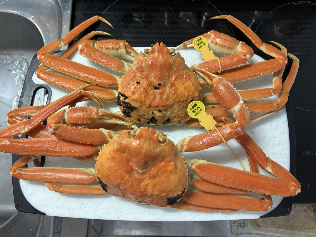 kakekake41's tweet photo. 越前ガニLL🦀
今からカニパ🦀
バリうまそっ🤤🤤 https://t.co/YUMXLK3sqN