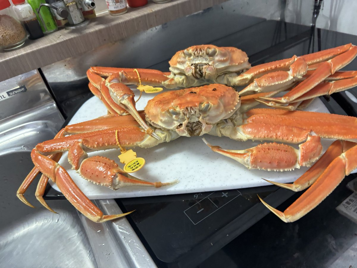 kakekake41's tweet photo. 越前ガニLL🦀
今からカニパ🦀
バリうまそっ🤤🤤 https://t.co/YUMXLK3sqN