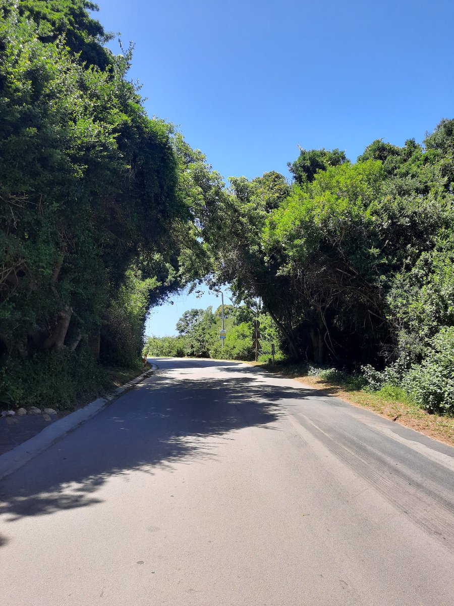 JasonLloydSA's tweet photo. Early morning run in Knysna...👌 https://t.co/nrwchTZLZb