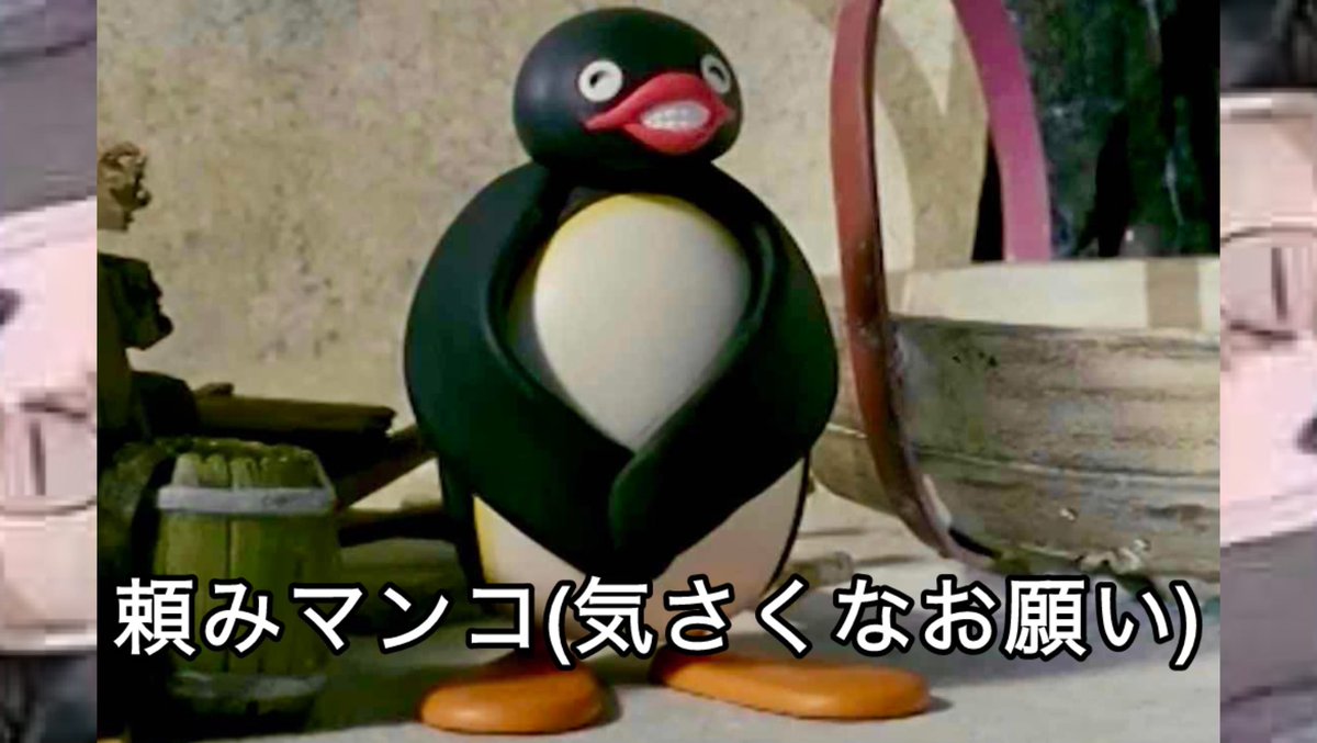 pingu_Archive's tweet photo. https://t.co/DO6EeyT5s6