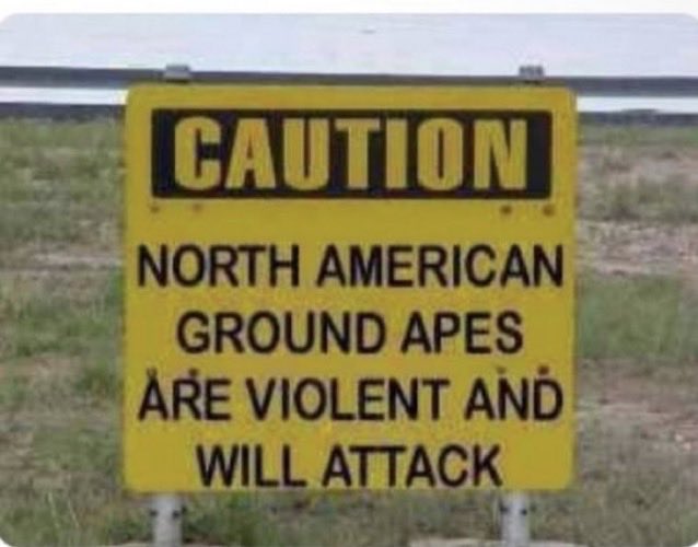 Hyperion tweet media