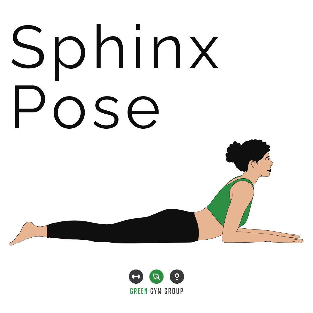 🧘‍♀️ Sphinx Pose = perfect stretch for your back + core. Relax, reset, and feel amazing in just 5 mins. 🌟 #SphinxPose #GreenGymGroup
