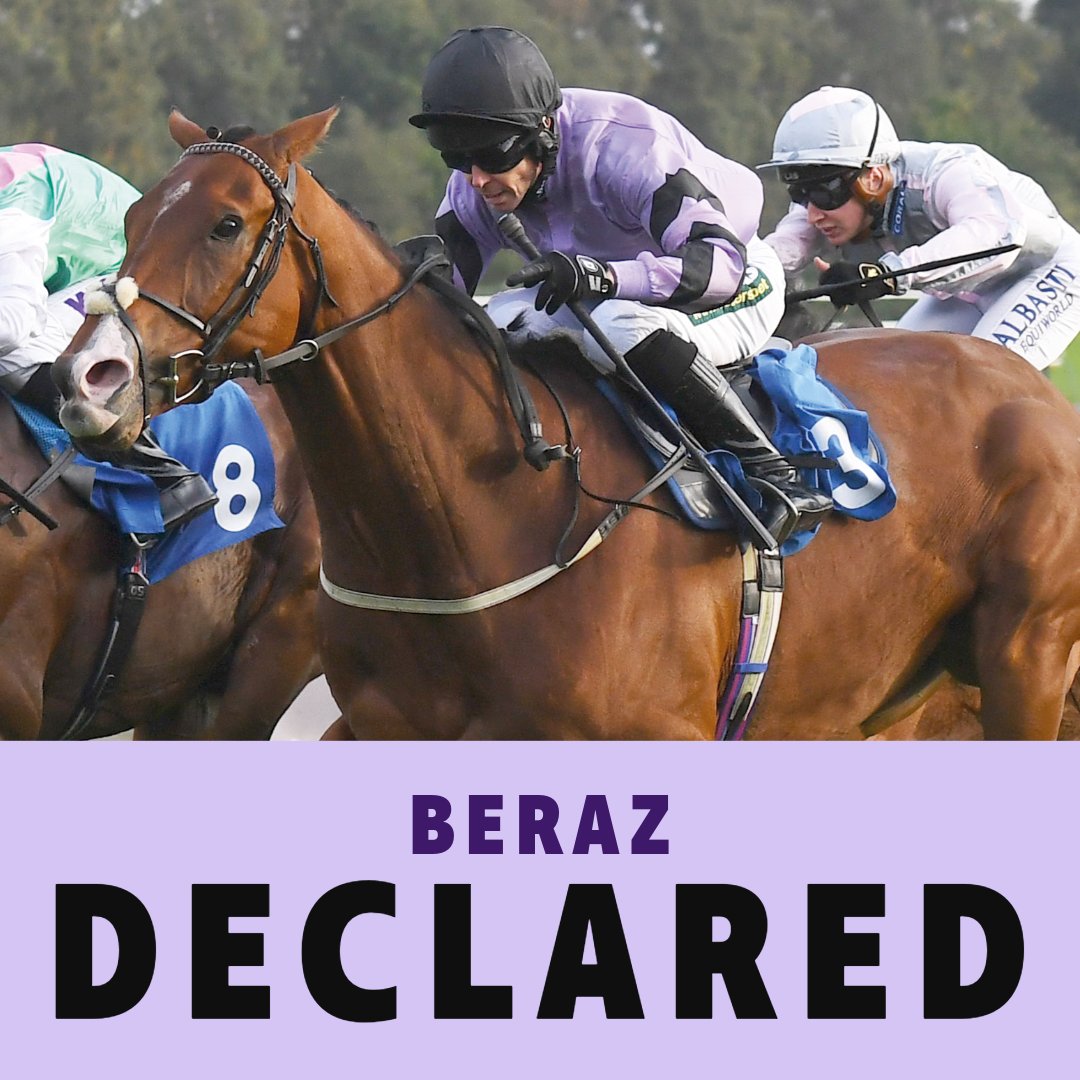 ownersgroupuk's tweet photo. BERAZ, trained by Julie Camacho, runs in the 7.15 at Southwell today. There are nine runners and Oisin McSweeney is booked to ride.
Best of luck to them and to all of his owners 🤞🐴
#ownersgroup
#beraz https://t.co/01NS6RxohI