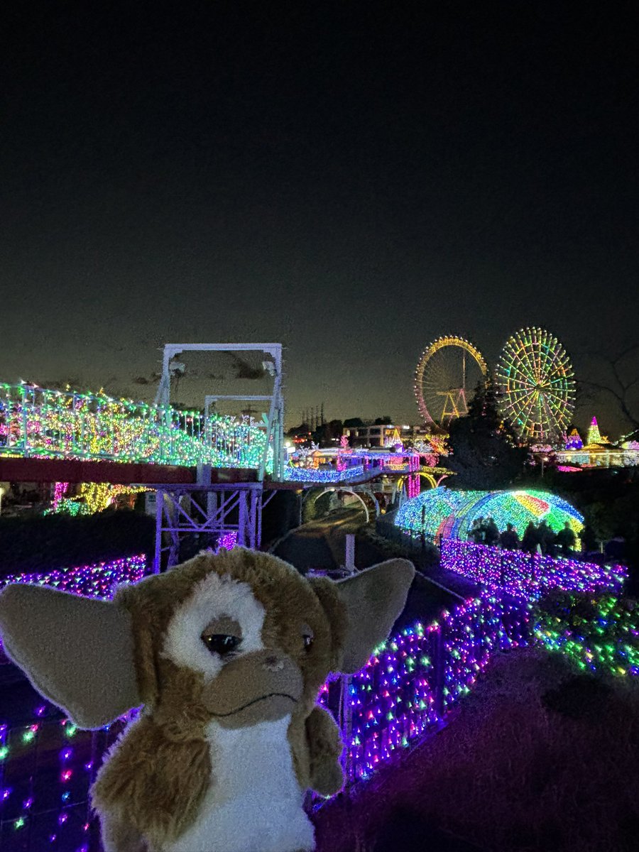 cghainaai's tweet photo. 楽しいかい？ https://t.co/RT01xbbvKO