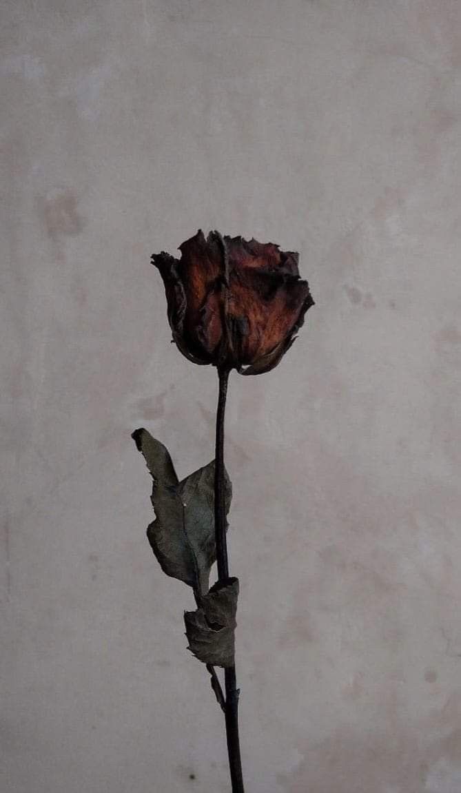 "Yazık kör bahçıvanın,bahçesinde açan goncaya.."