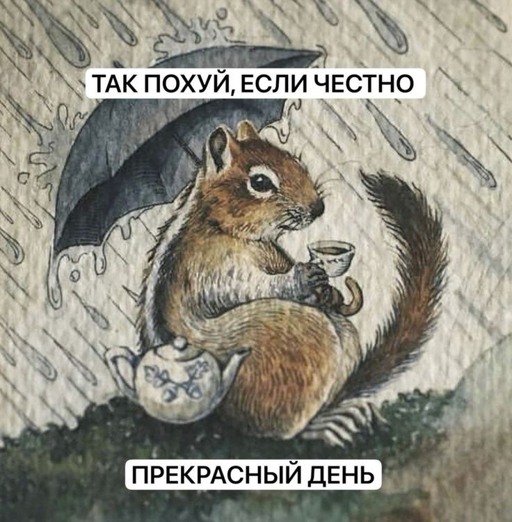 discophotomode's tweet photo. а это я смотрю на срач вокруг Цири и просто радуюсь, что у нас будет Ведьмак 4 https://t.co/EheZbDdYVk