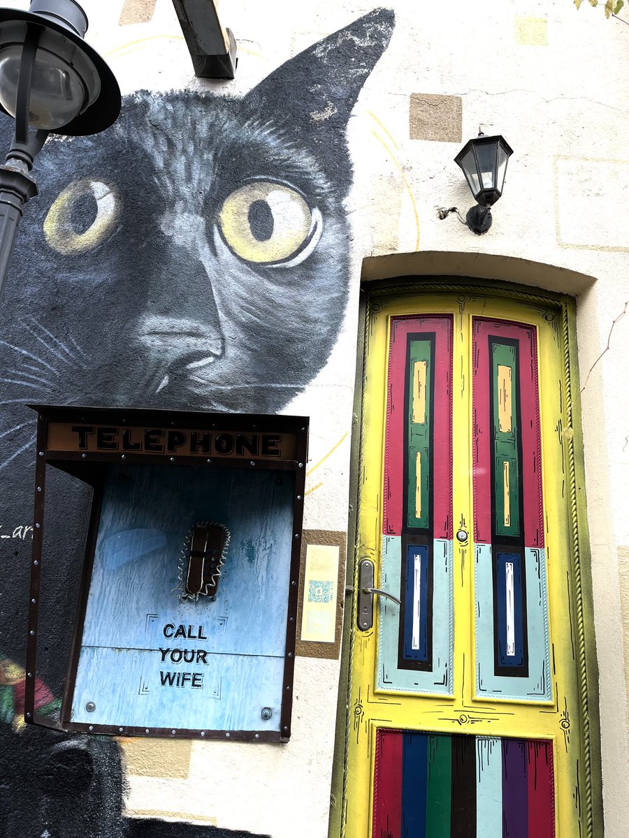 Alp Üçok tweet media