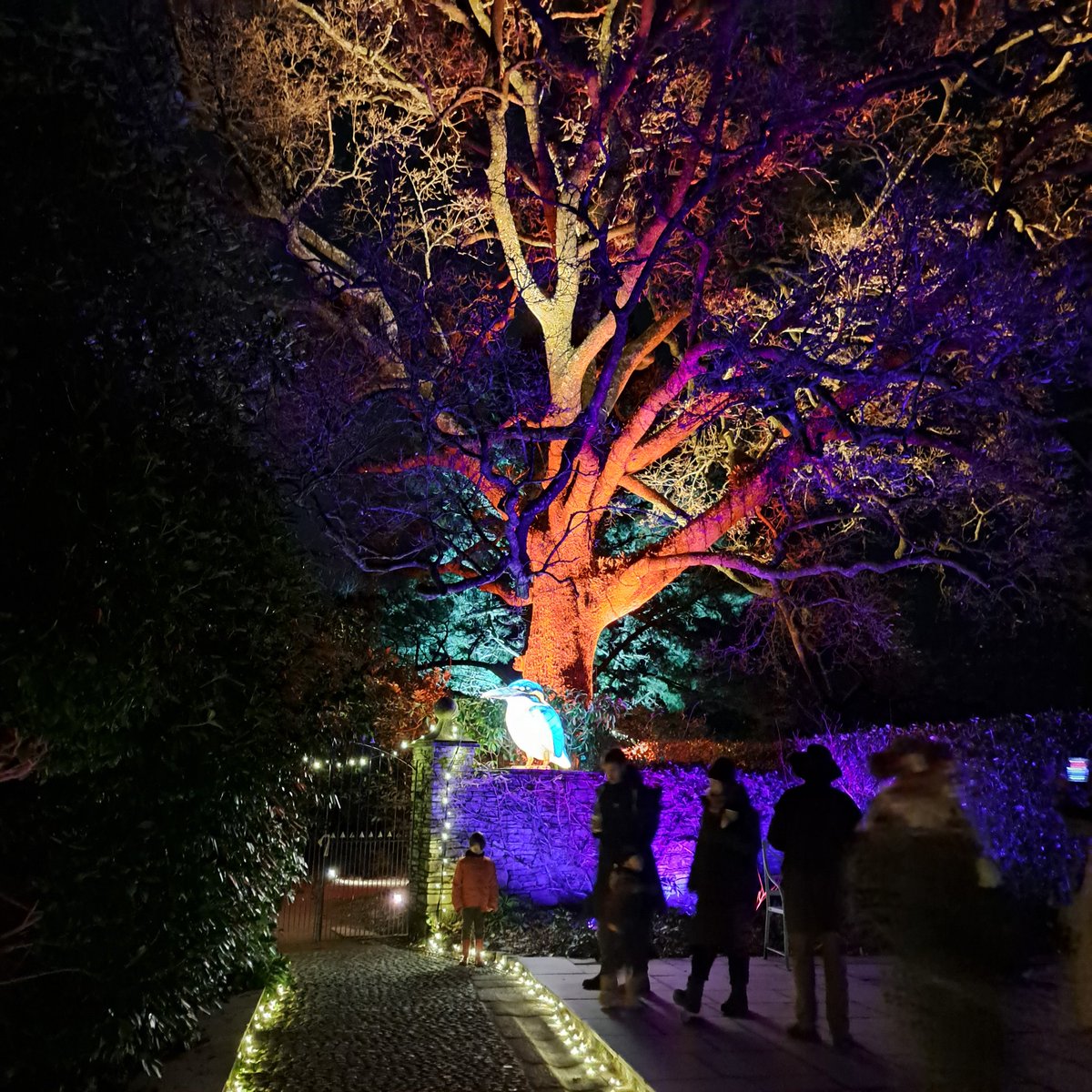 <a href="/jpndcf/">jim</a> <a href="/littlejomini1/">Jo</a> <a href="/JackiHicks/">𝕁𝕒𝕔𝕜𝕚 💚 〓〓</a> Morning piskies. Lovely evening at Heligan gardens. Some pics to follow. Blue amidst the grey with showers. Last prezzie to wrap in a mo, yippee! 🎁 
And now . . .