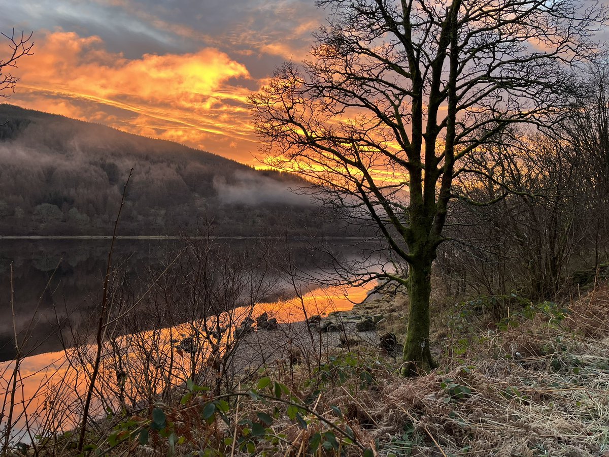 nikkitt76's tweet photo. Gorgeous start to the morning @forestholidays Strathyre https://t.co/JxGRR118rC