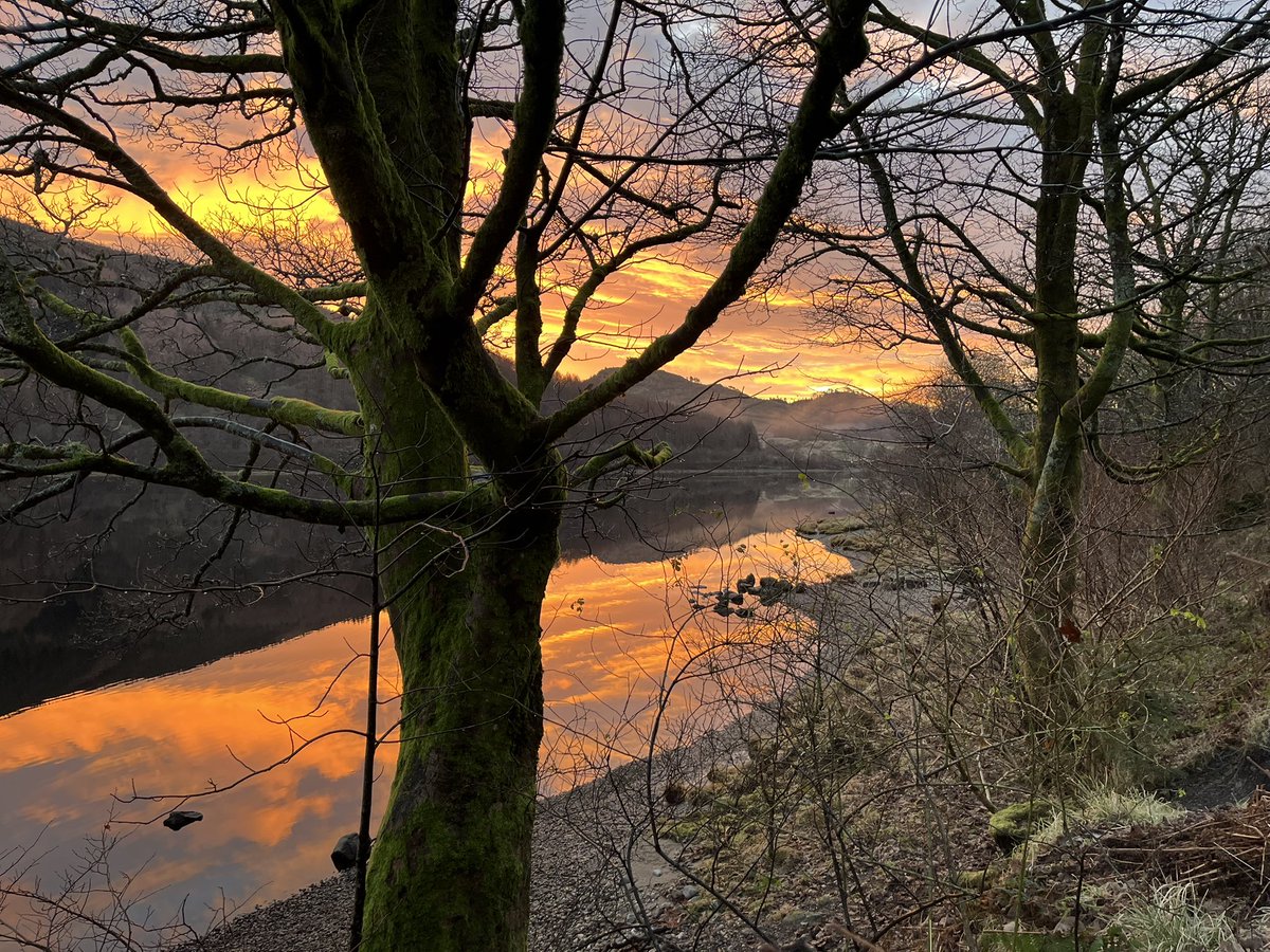 nikkitt76's tweet photo. Gorgeous start to the morning @forestholidays Strathyre https://t.co/JxGRR118rC