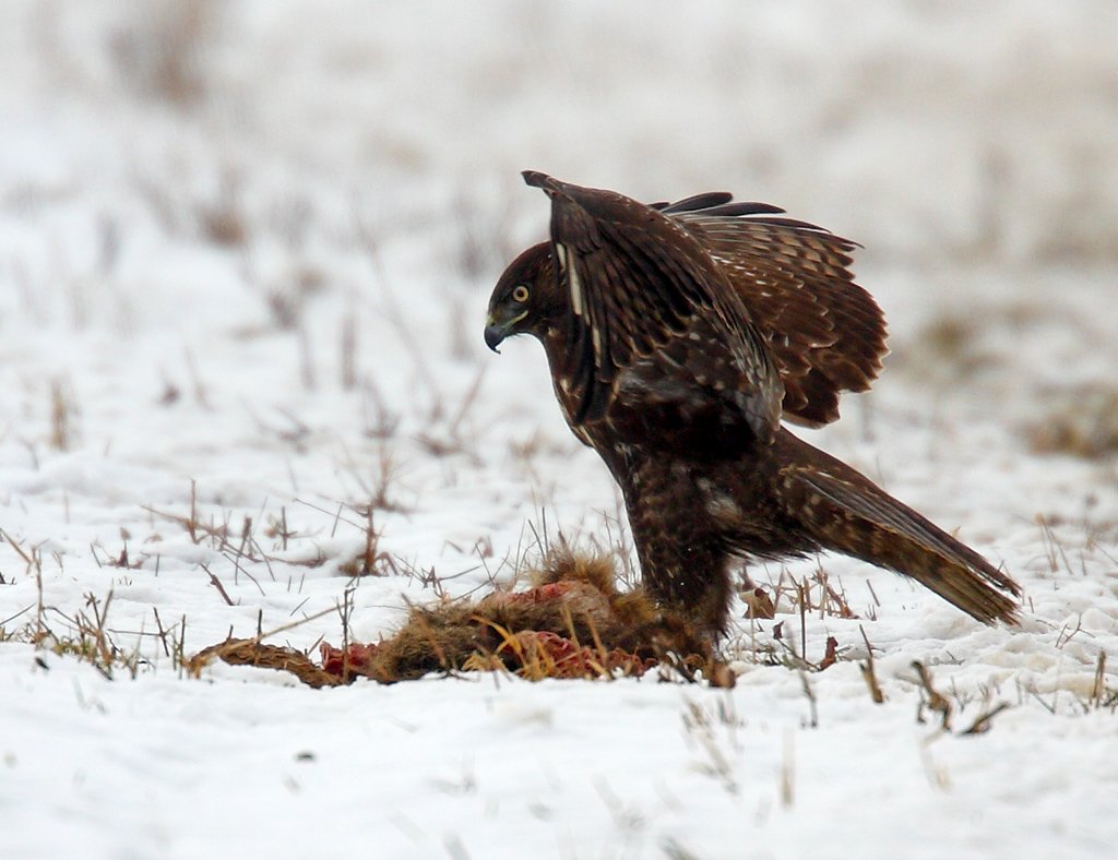 Slartibartfast tweet media