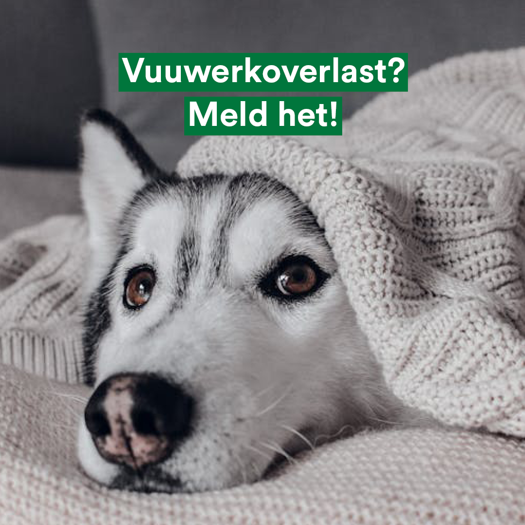 Judith Hofte tweet media