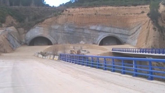 Potser tindrem linx, foques, àligues pescadores, ibis eremites….però no tindrem perdius, mussols, òlibes, pardals, rates d’aigua, còlits, bagres, truites, salamàndries… i país on puguin viure. Què és prioritari pels ecosistemes?