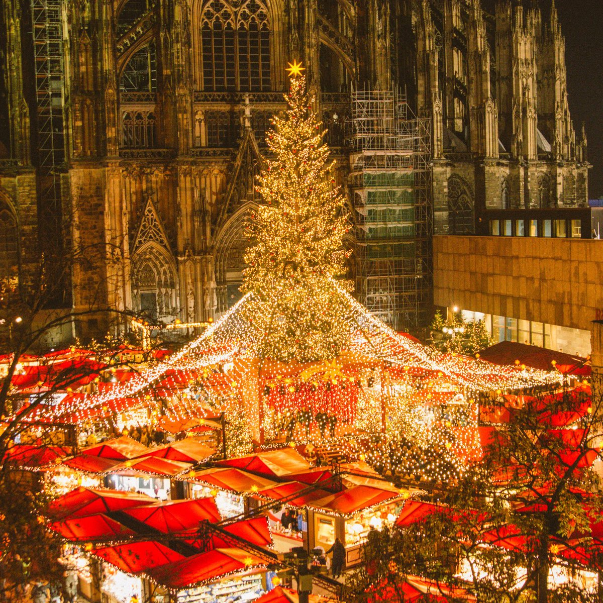solcugazeteX's tweet photo. Almanya, Köln'de Noel. https://t.co/CJvfRk3nf0