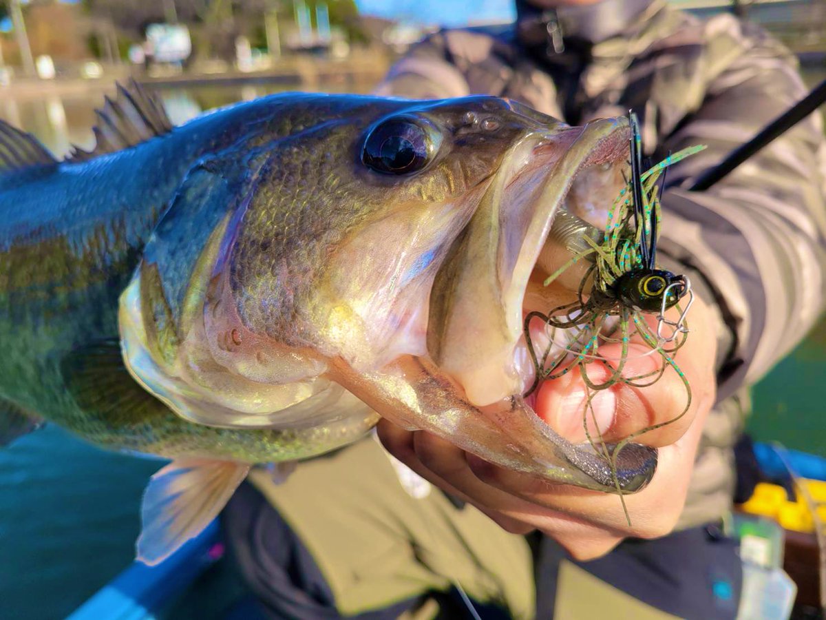 MpzhN's tweet photo. ホーム上野沼
スイミングマスターで40up
水温7℃前後でのこの1本は痺れました。

#enginefishing
#上野沼
#スイミングマスター https://t.co/LQrdbgpFtm