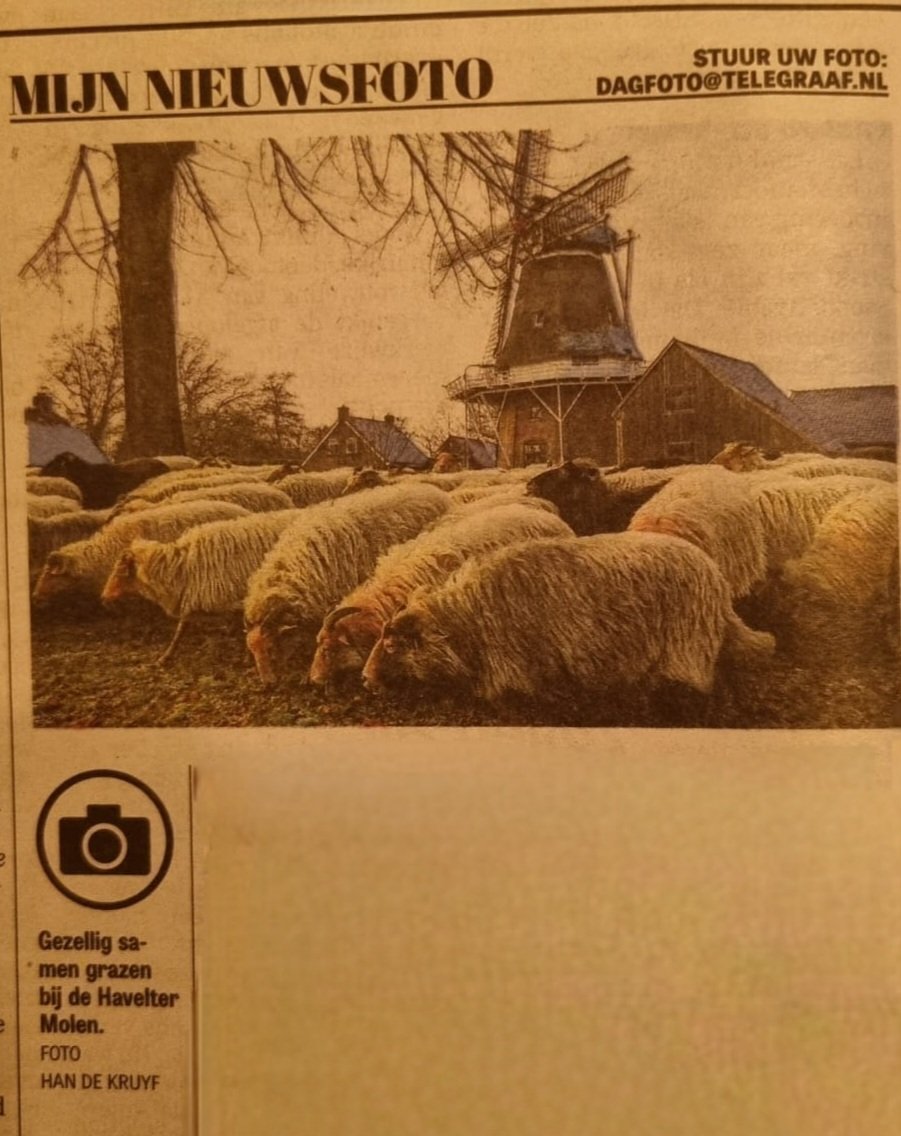 Wie de Telegraaf leest, heeft het misschien al gezien, maar wij stonden gister met een mooie foto in de krant! 📸
Wil je onze mooie molen nou ook in het echt komen bekijken? Dan heb je geluk! Want we zijn vandaag geopend van 13.00 uur tot 16.30 uur 😊