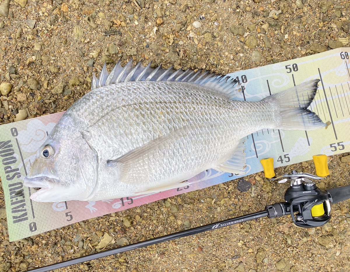 ジグザグ。 (@4939xxx) / Posts / X